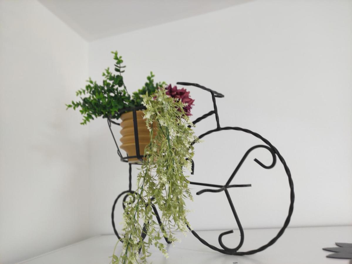 Apartman Iris S Terasom Rijeka Ngoại thất bức ảnh